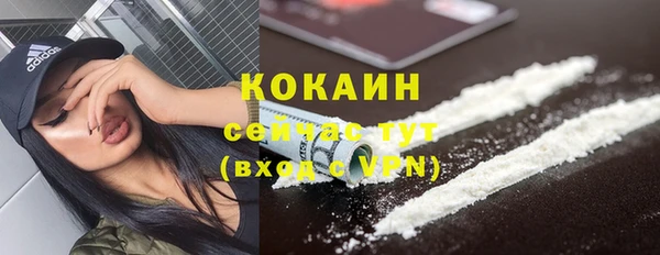 крисы Надым