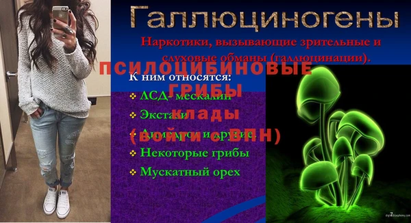 ГАЛЛЮЦИНОГЕННЫЕ ГРИБЫ Горняк