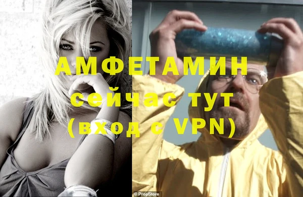 крисы Надым