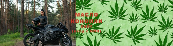 крисы Надым