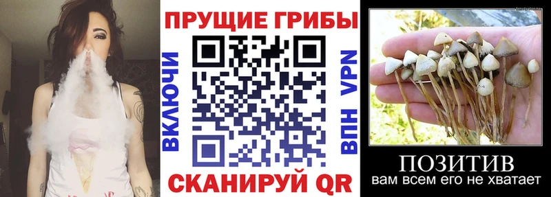 Галлюциногенные грибы ЛСД Козловка