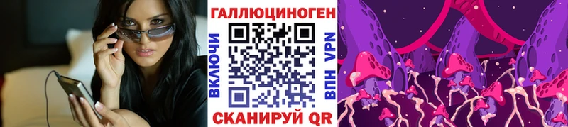 Псилоцибиновые грибы Psilocybe  Козловка 