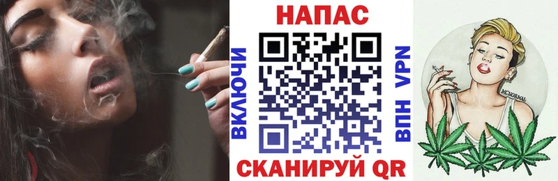 Бошки Шишки ГИДРОПОН  Козловка 